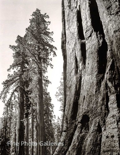 1944 vintage ansel adams - 1944/80,